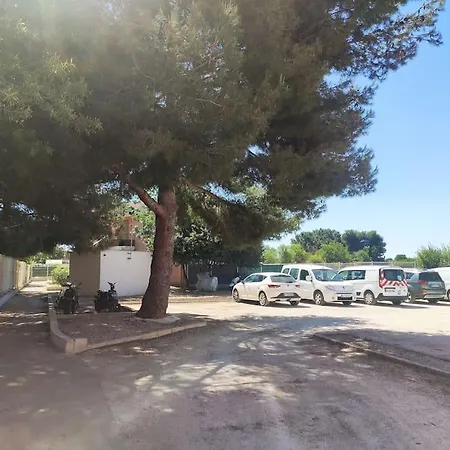 Harmonie Du Sud
