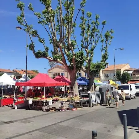 Harmonie Du Sud Le Grau-d'Agde